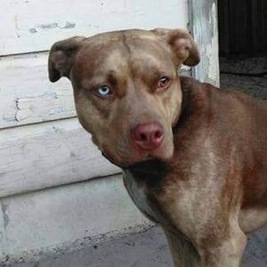 Meet your Posher, Tim